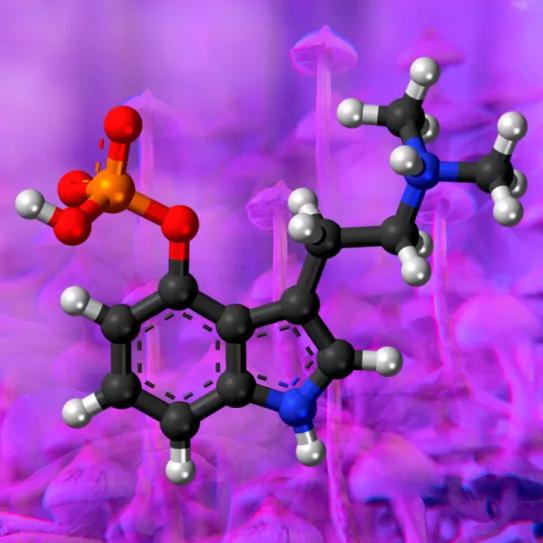 Una ONG recurre la patente de psilocibina registrada por la farmacéutica COMPASS