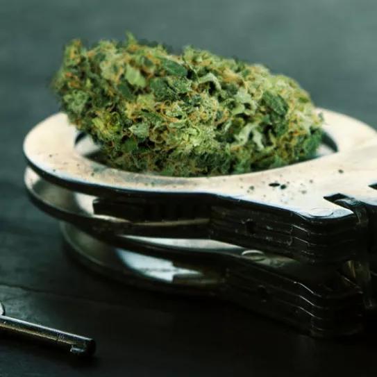 Colorado indulta a 1351 condenados por posesión de cannabis