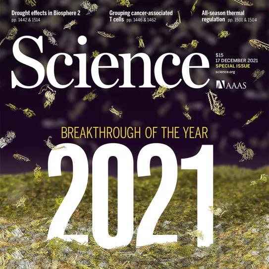 La revista Science elige la terapia con MDMA como uno de los diez principales avances científicos del 2021