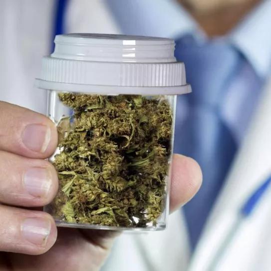 Polonia tramita una ley para legalizar la producción de cannabis medicinal