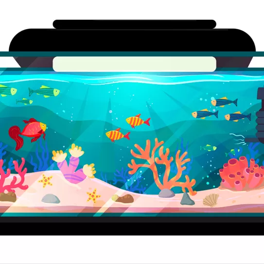 Regar con el agua del acuario 