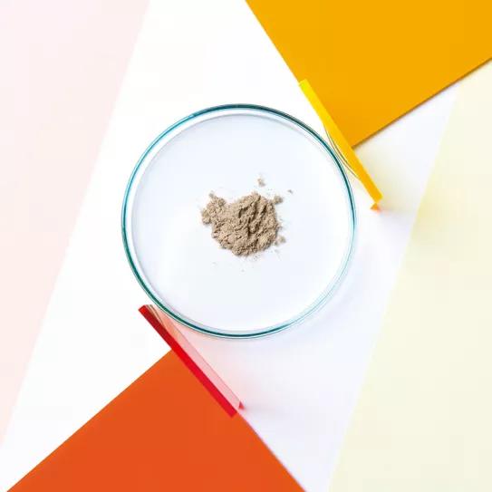 Setas psilocíbicas con 4-ACO-MET 