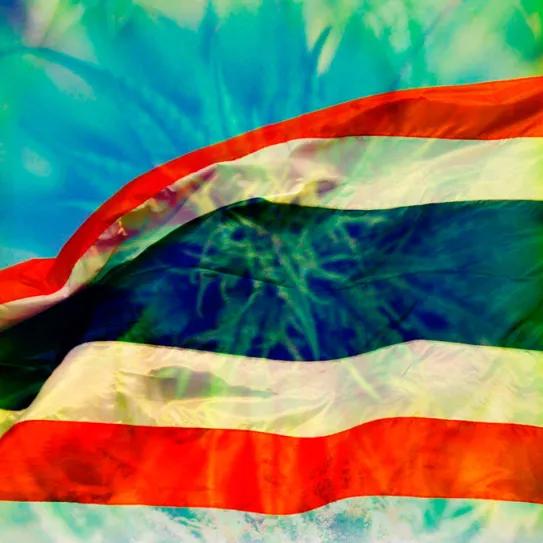 El Gobierno de Tailandia ya está pensando modelos para regular el cannabis recreativo