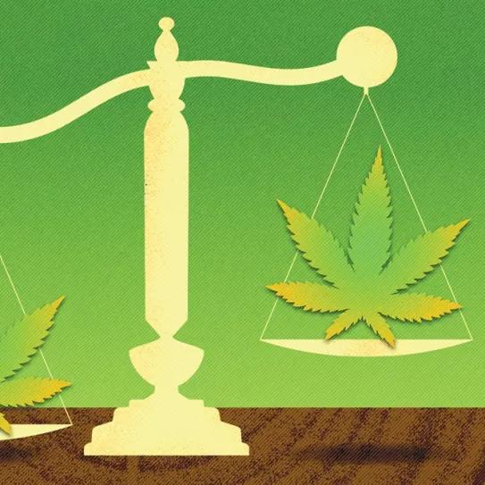 Un juez absuelve a dos cultivadores medicinales de Chile que participaban en la fundación Daya