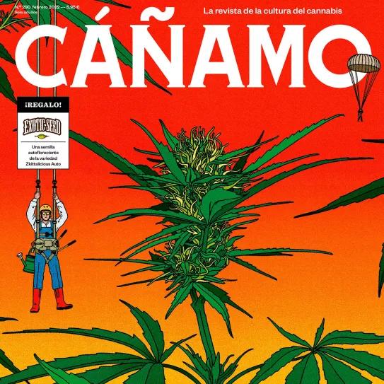 Cáñamo Sumario N.º 290 Febrero 2022