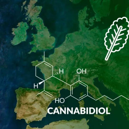 La Comisión Europea valida varias solicitudes para el uso de CBD como nuevo alimento