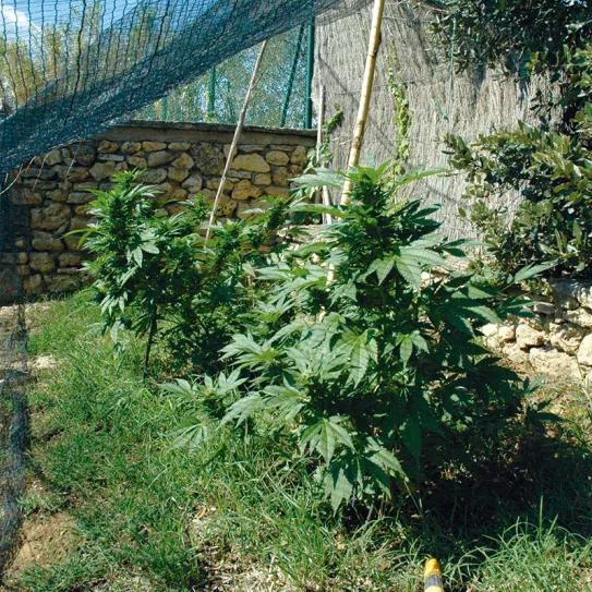 Seguridad y ocultación José T. Gállego 