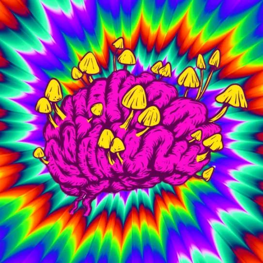 Un estudio compara los efectos y la potencia de la LSD y la psilocibina 