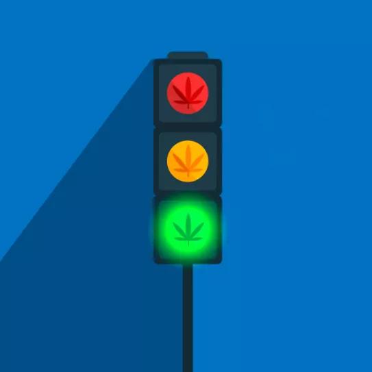 La subcomisión arranca con visiones contrapuestas sobre el cannabis medicinal 