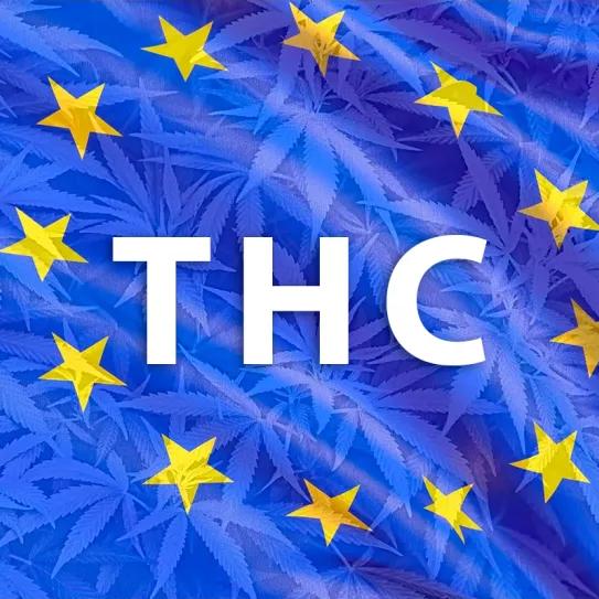 La Comisión Europea establece la cantidad máxima de THC en los alimentos de cáñamo