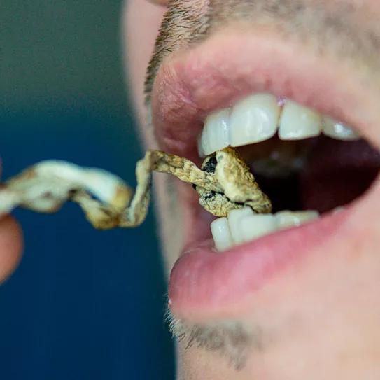 Los colocones psiquedélicos no serán perseguidos por la policía de esta ciudad
