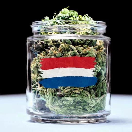 El cannabis legal en Países Bajos tendrá que esperar a 2023