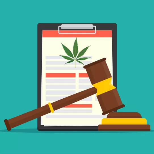 ¿Existen en España los tribunales de drogas?