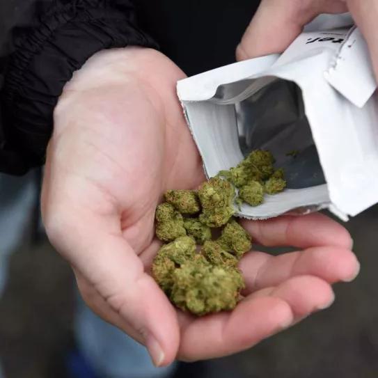 A partir de hoy hasta la policía puede comprar porros legales en Nueva Jersey