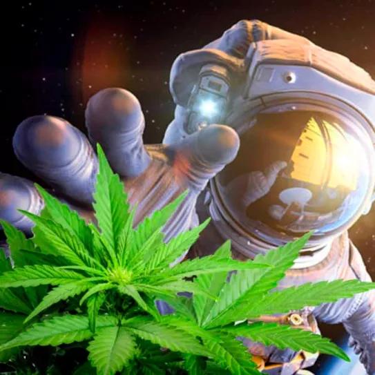 ¿Cuándo fumaremos porros en el espacio?