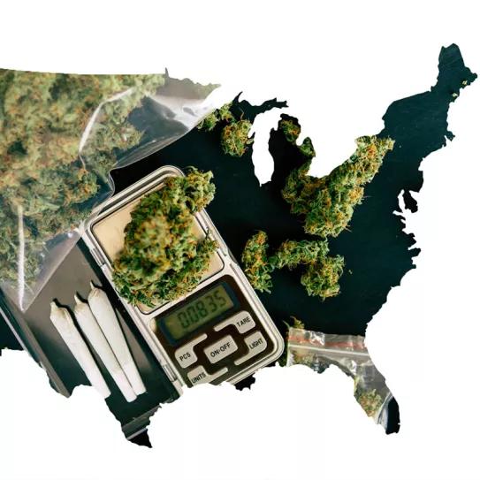 Las legalizaciones de EE UU han reducido el narcotráfico desde México, reconoce la DEA