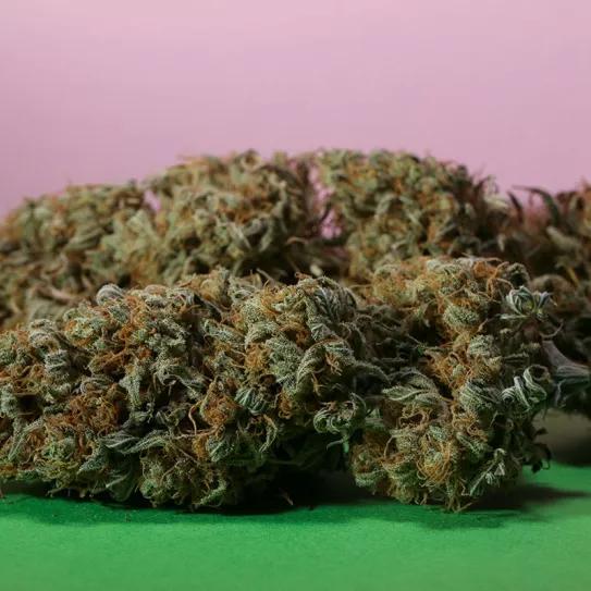 Cómo combatir el estrés, la ansiedad y la depresión con cannabis Por Buddha Seeds