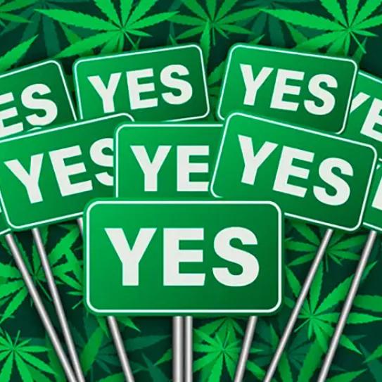 Austin, Texas, despenaliza el cannabis mediante referéndum