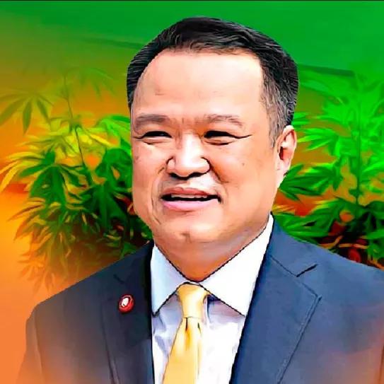 Tailandia regalará un millón de plantas de cannabis a sus ciudadanos 