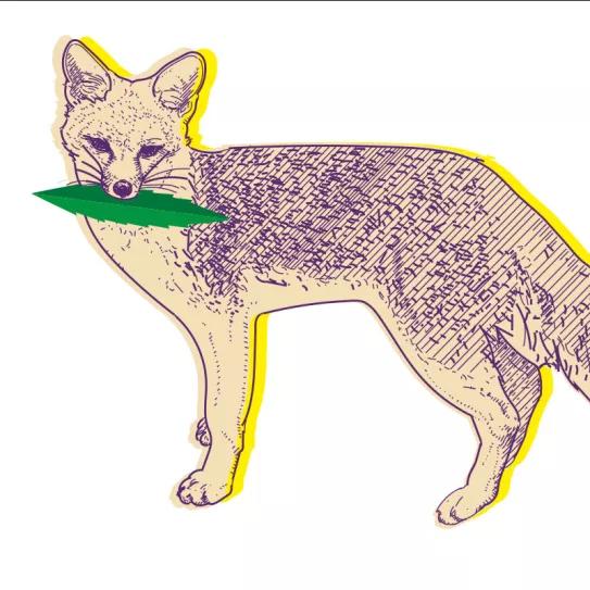 Seis estados buscarán mayor libertad cannábica Por Oswaldo Pérez Cabrera