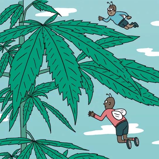 Los meses de crecimiento: diez claves importantes 