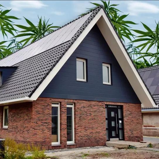 Cómo construir una casa únicamente con cáñamo