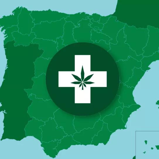 Los partidos entregan sus recomendaciones para regular el cannabis medicinal en España