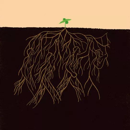 Un lobby con raíces de hierba. Ilustración Martin Elfman