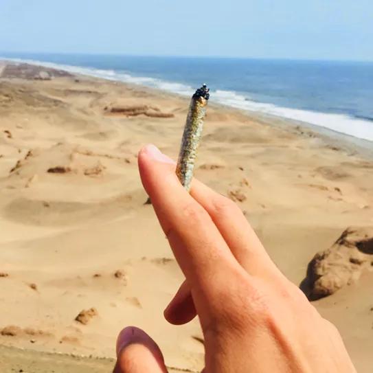 Proponen permitir el consumo de marihuana a turistas en Uruguay