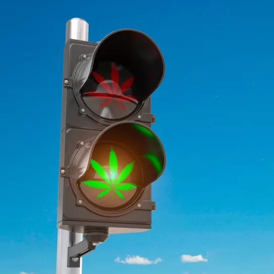 El Congreso da luz verde a la regulación del cannabis medicinal