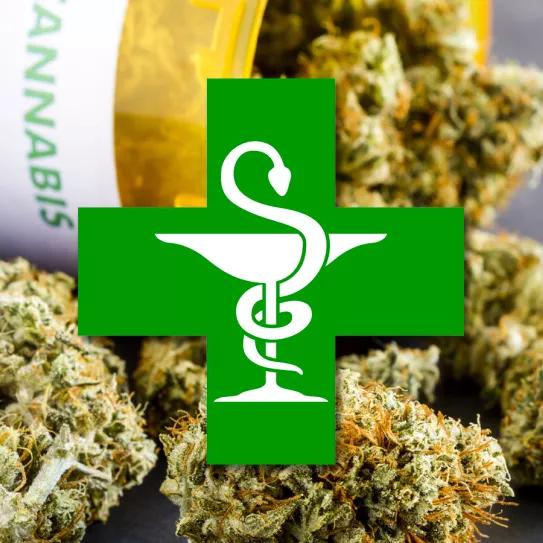 Las farmacias insisten en dispensar cananbis medicinal