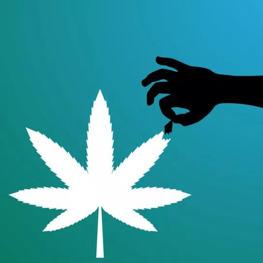 ¿Tendremos que seguir desobedeciendo?