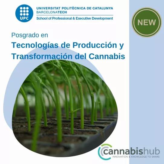 El primer posgrado de cannabis en España empezará este otoño