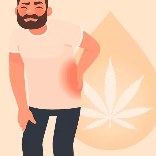 Miedos, cautelas y dolores Editorial Cáñamo 296