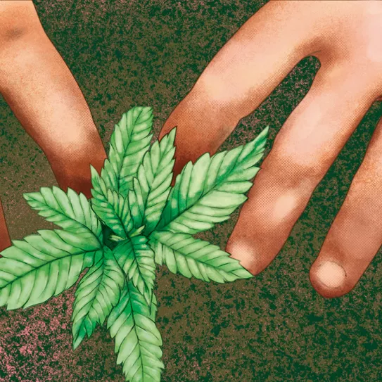 ¿Se puede sembrar en julio? 