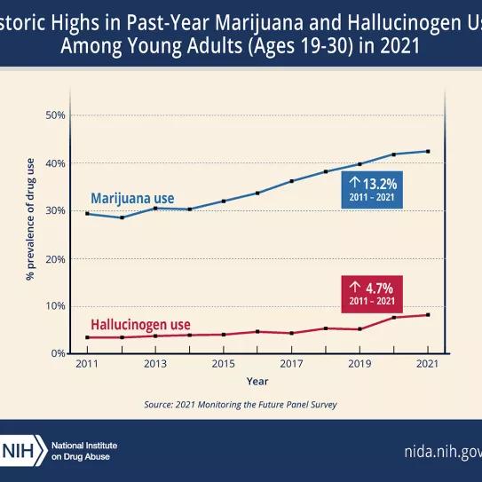 Récord de uso de cannabis y alucinógenos entre los adultos jóvenes de EE UU 