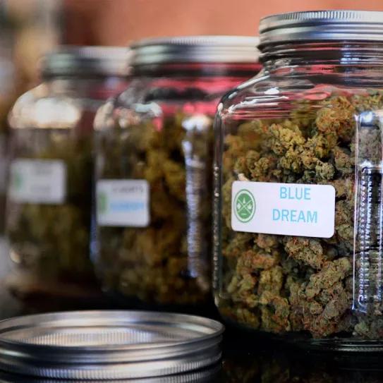 El PSOE trata de frenar la apertura de un club de cannabis en Tarragona