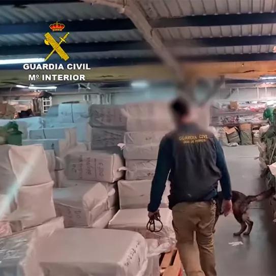 Desde Andalucía hasta Alemania: 44 personas detenidas por la exportación de cannabis