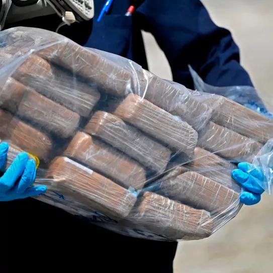 España gasta 300.000 euros anuales en destruir drogas 