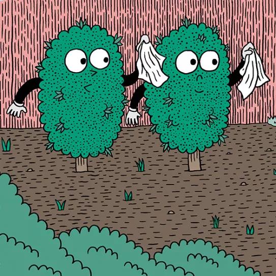 Riegos vacacionales: diez trucos para que la cosecha no sufra 