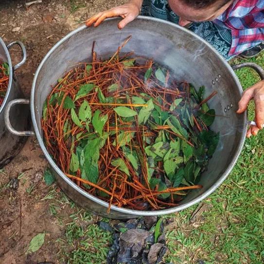 50 policías interrumpen un retiro medicinal con plantas tradicionales