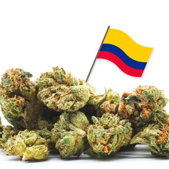 El Congreso de Colombia pone rumbo a la despenalización del cannabis 