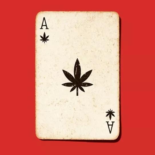 Valentía y voluntad política