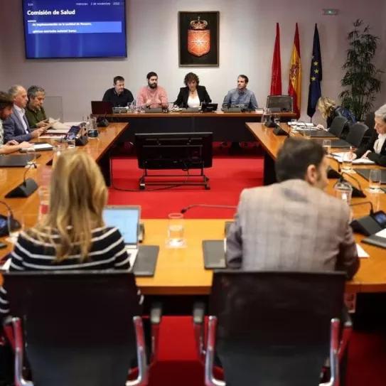 El partido cannábico pide al Parlamento navarro más apoyo al cannabis medicinal