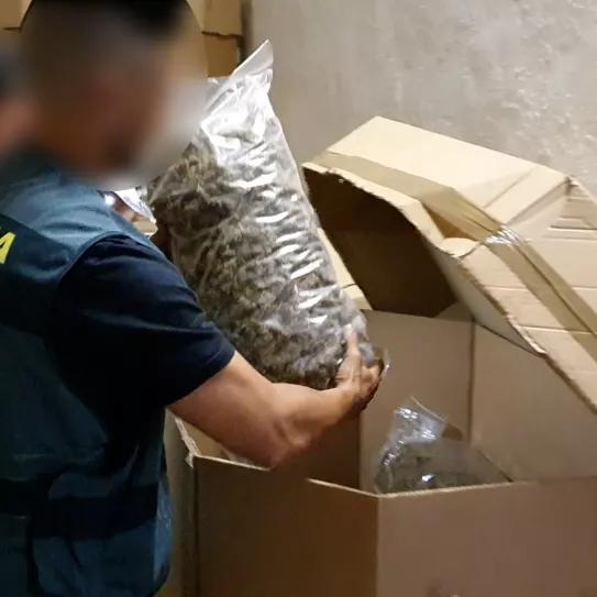 La Guardia Civil incauta un alijo de 32 toneladas de marihuana que podría ser cáñamo