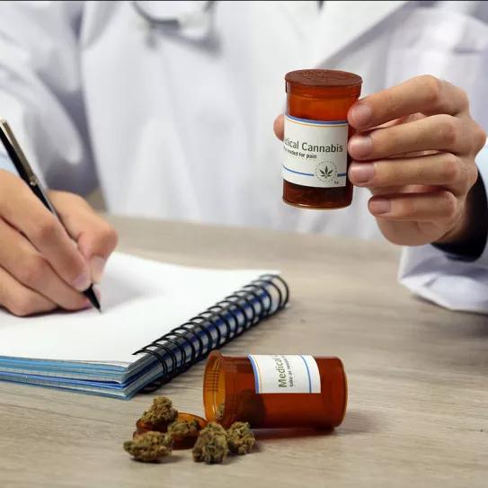 Marruecos forma a sus sanitarios para la llegada del cannabis medicinal