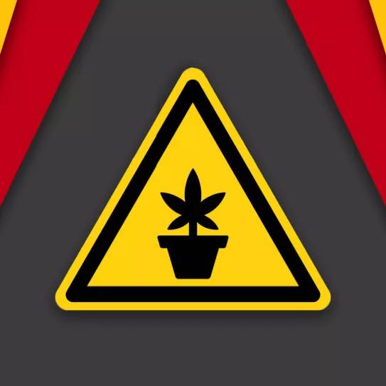 Un año de represión 