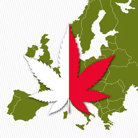 La regulación de Malta está dirigida por un prohibicionista