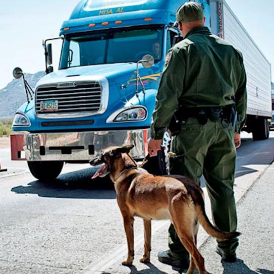 El cannabis incautado en las fronteras de EE UU cae a mínimos históricos