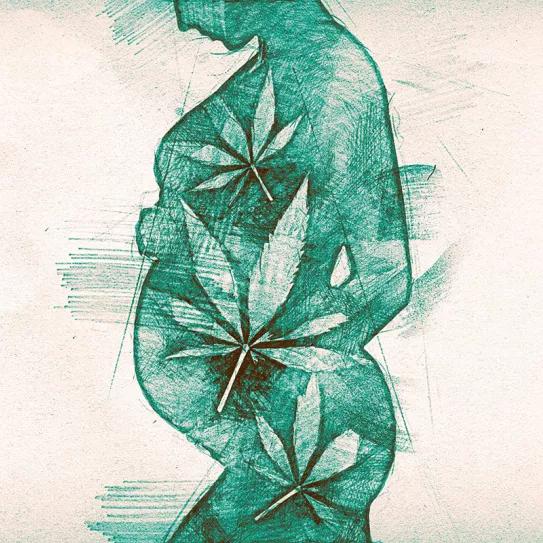 El Supremo de Arizona ampara el uso de cannabis medicinal en una embarazada